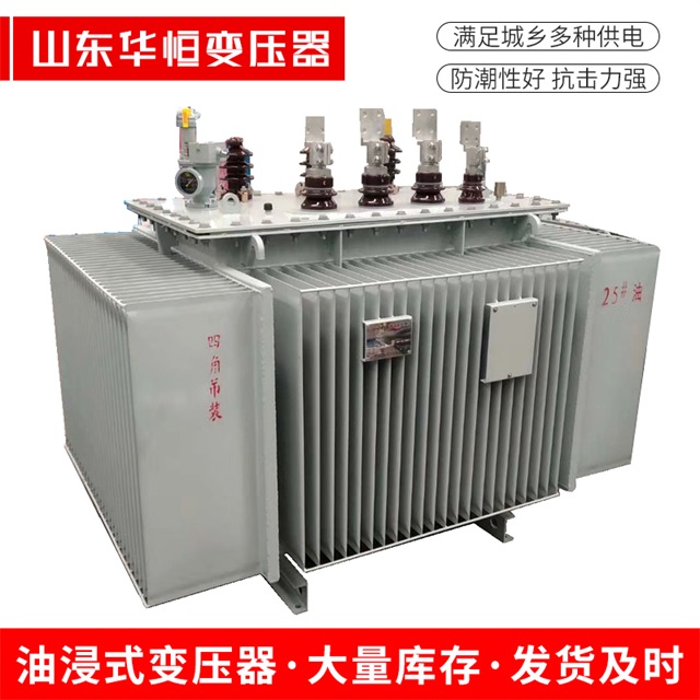 S13-10000/35苍南苍南苍南电力变压器厂家