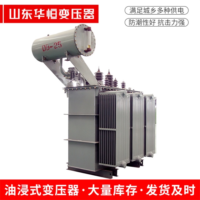 S11-10000/35苍南苍南苍南电力变压器厂家