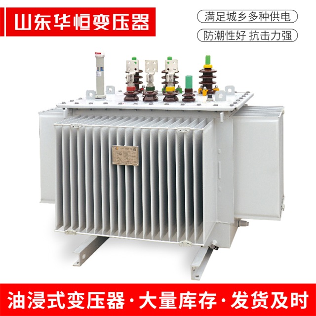 S13-10000/35苍南苍南苍南电力变压器