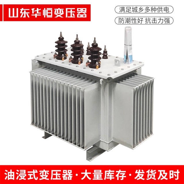 S13-10000/35苍南苍南苍南油浸式变压器厂家